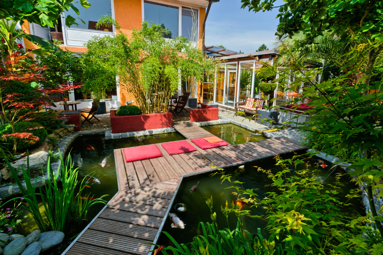 garden pond