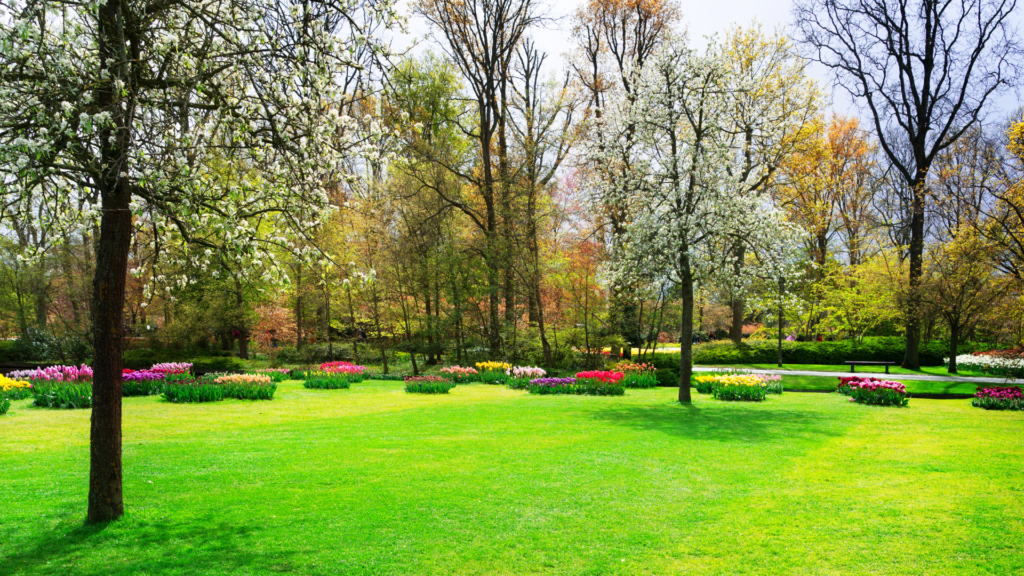 formal landscaping