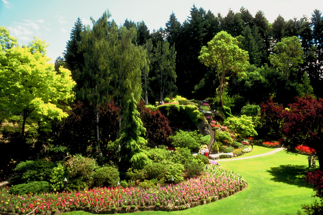 landscaping services
