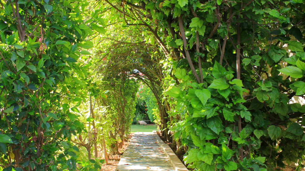 mediterranean landscaping
