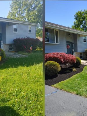 Flowerbed cleanup_Mulching