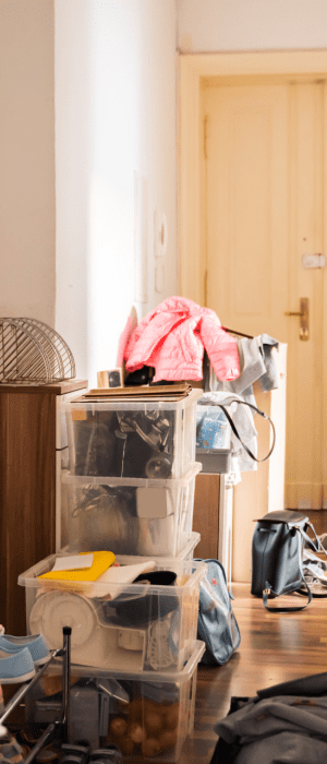 JUNK REMOVAL