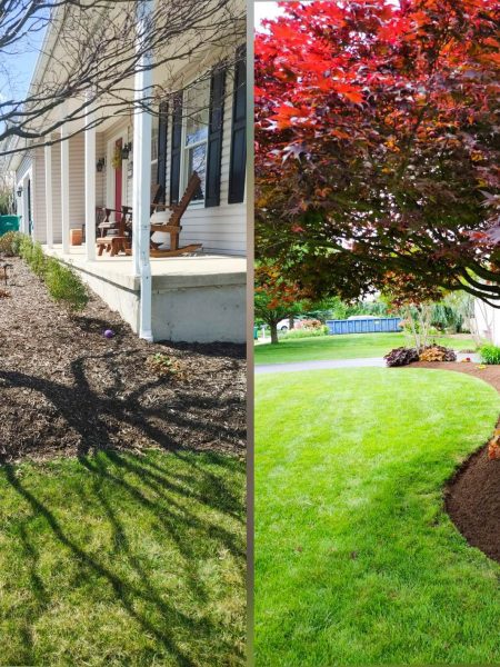 Spring Clean Up_Mulching