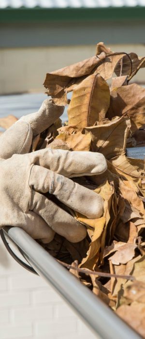gutter cleaning (3)